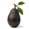 Avocado Hass