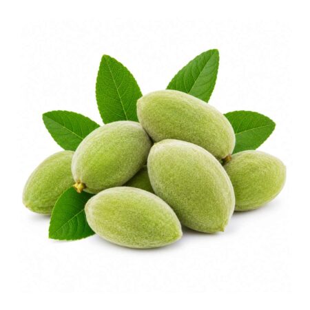 Fresh Almond