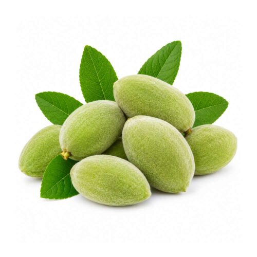 Fresh Almond
