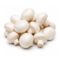 White Button Mushroom