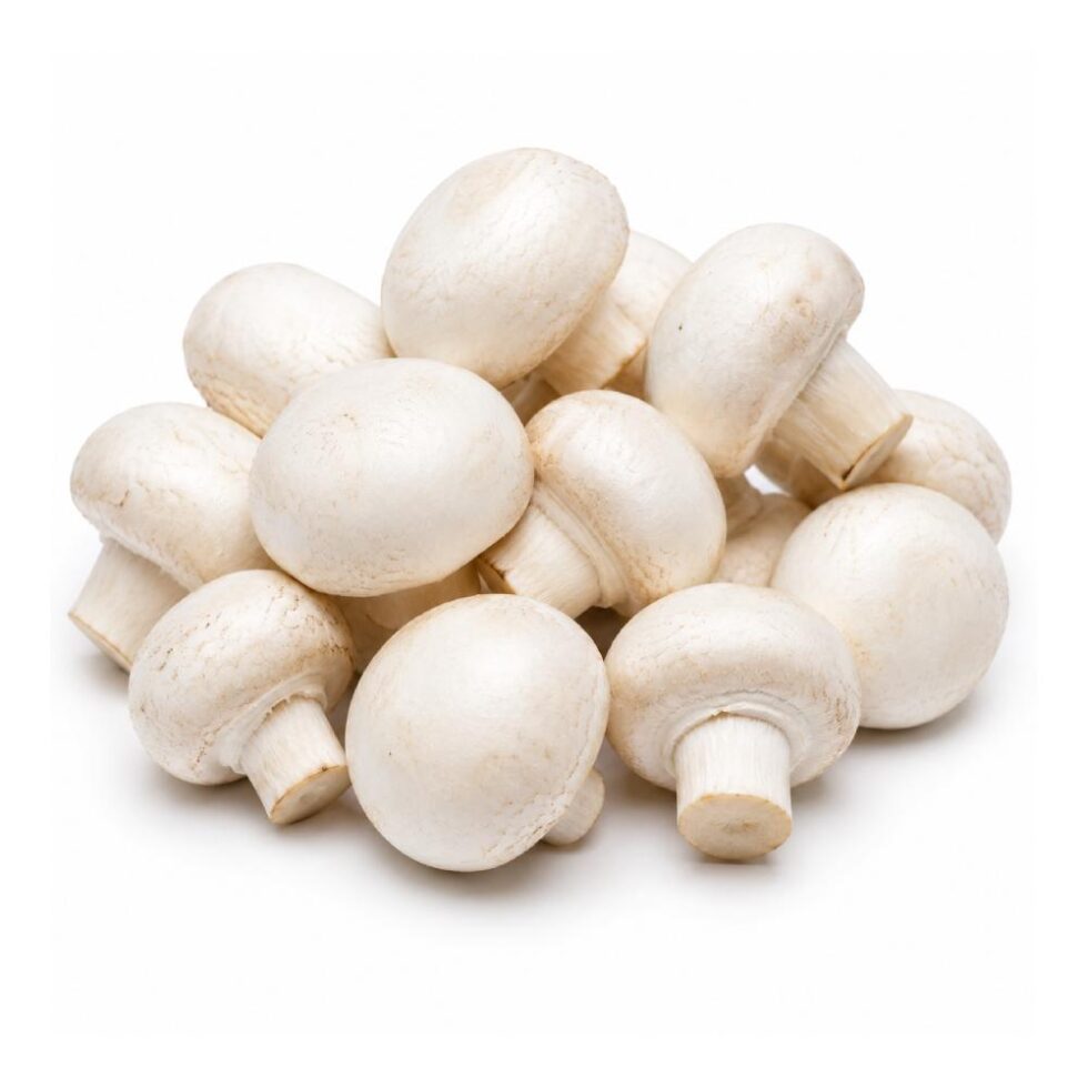 White Button Mushroom