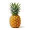 Small Pineapple