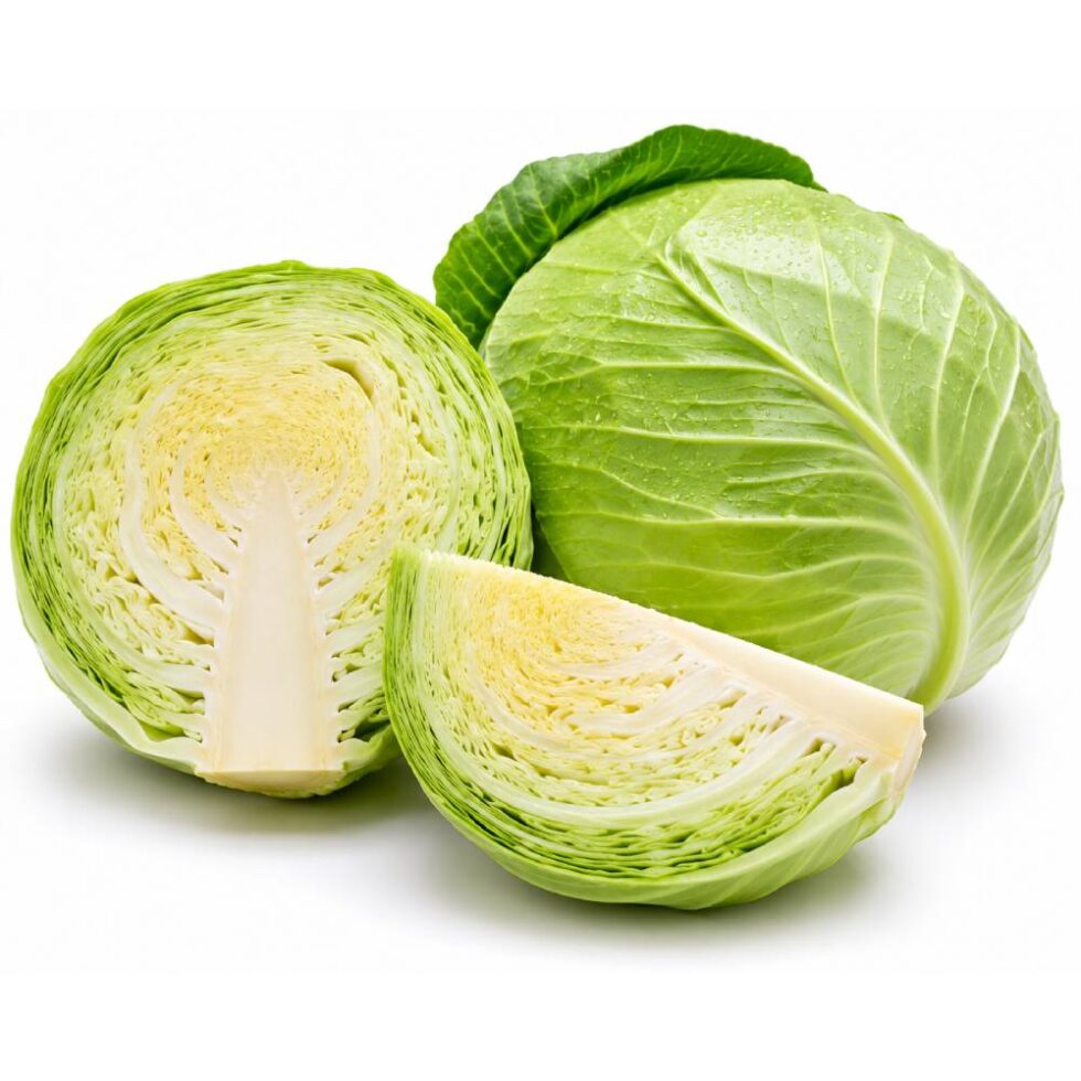 Cabbage - Buy Fresh Online at Fresh & More Karachi