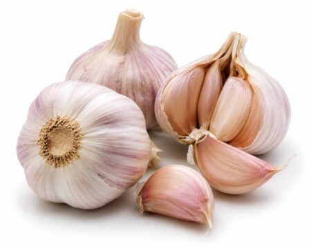 Garlic