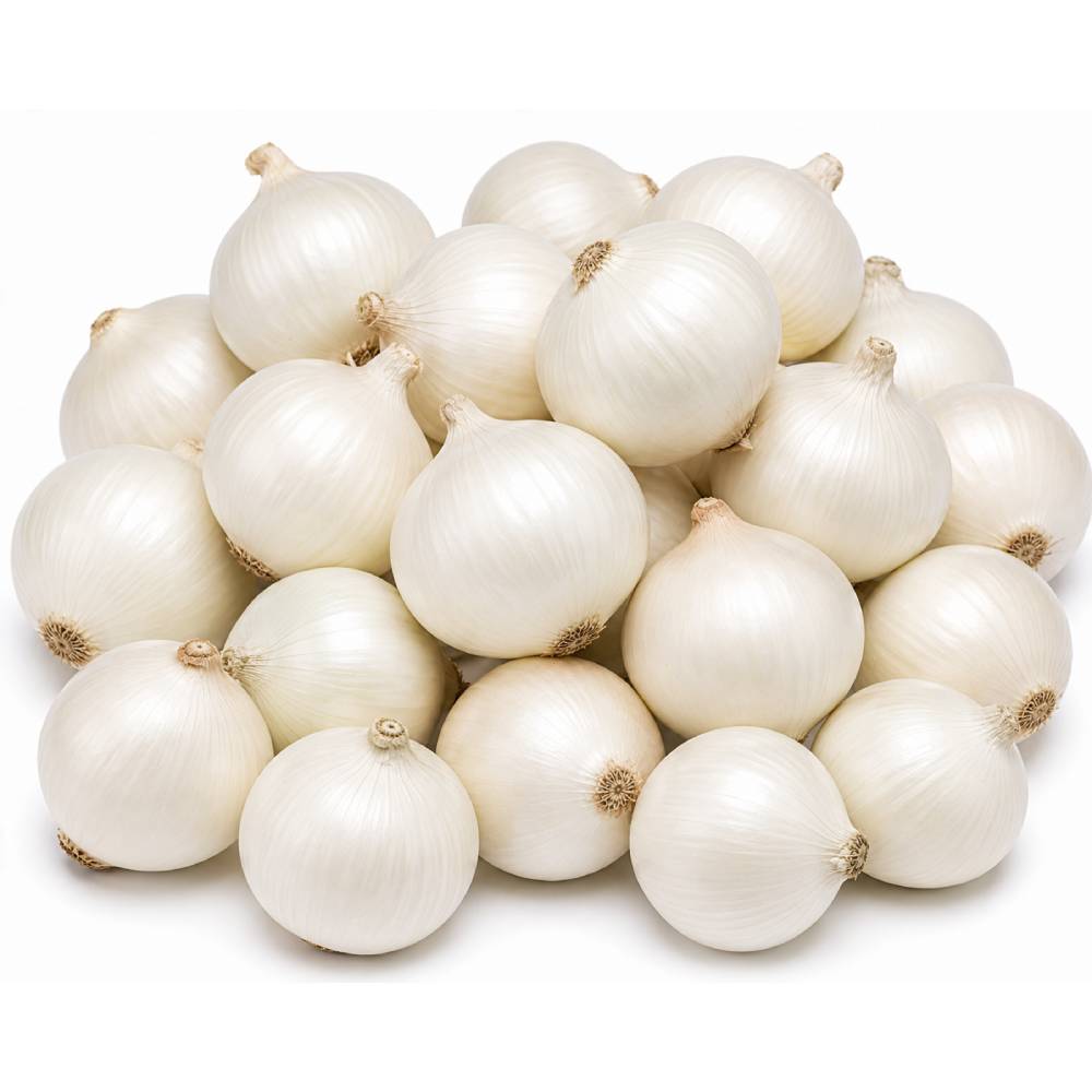 White Onion