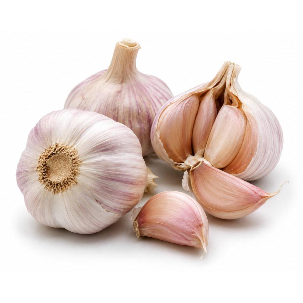 Garlic (لہسن)