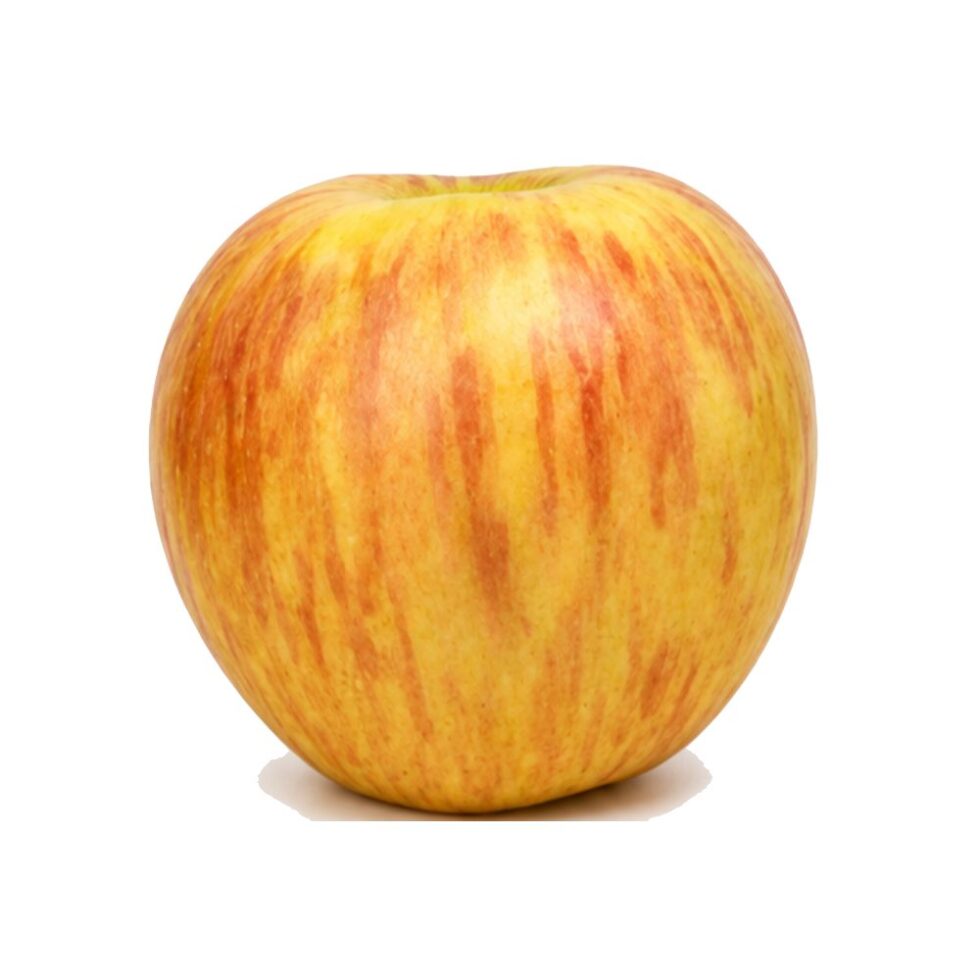 Golden Apple