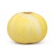 Sweet Melon