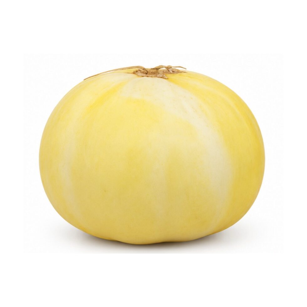 Sweet Melon