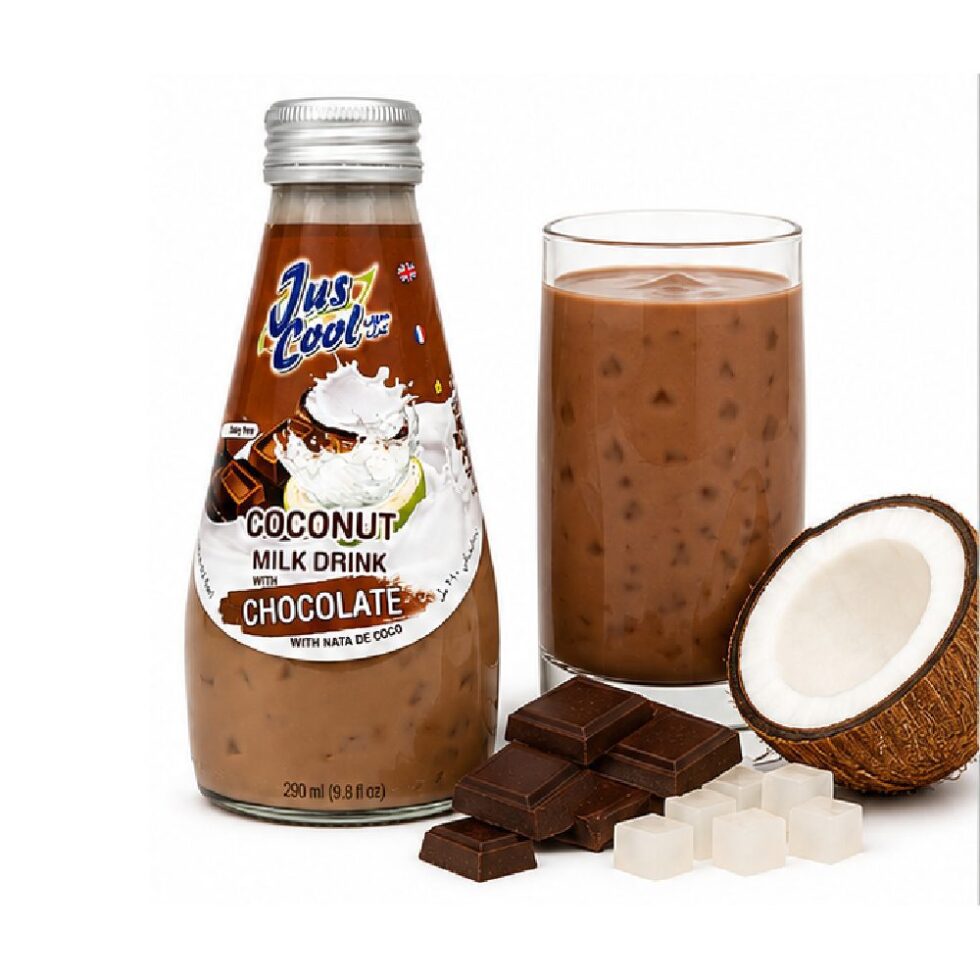 JUST COOL COCONUT MILK DRINK WITH CHOCOLATE FLAVOUR (290ml)