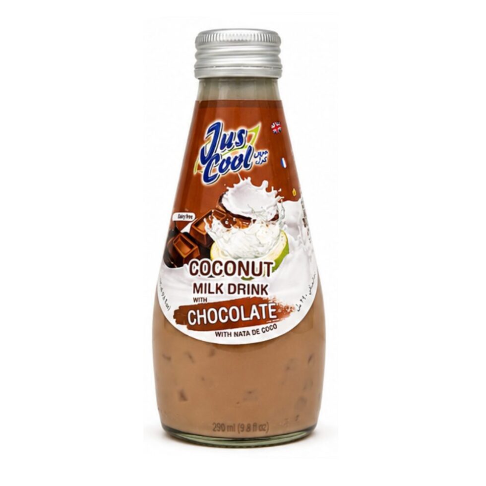 JUS COOL COCONUT MILK DRINK WITH CHOCOLATE FLAVOUR (290ml