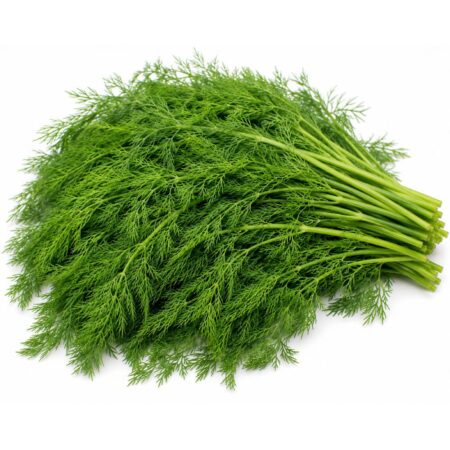Soya (Dill) 1pkt