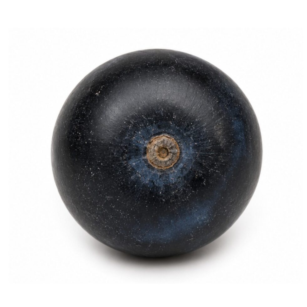 Black Plum