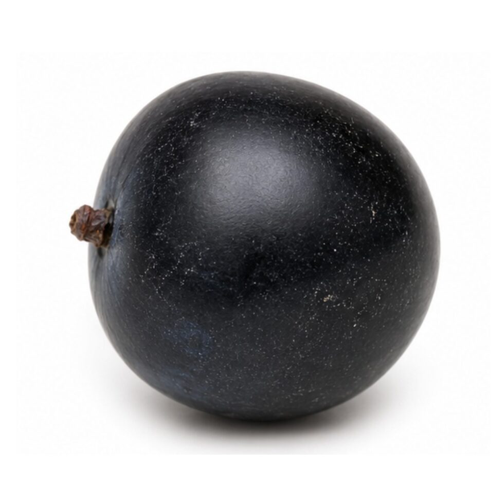 Black Plum