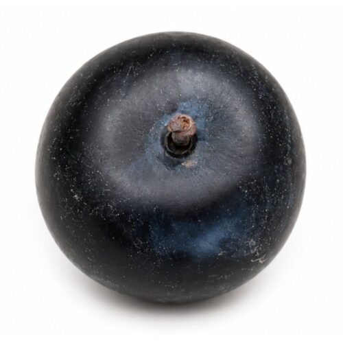 Black Plum