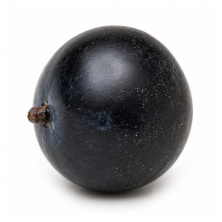 Black Plum