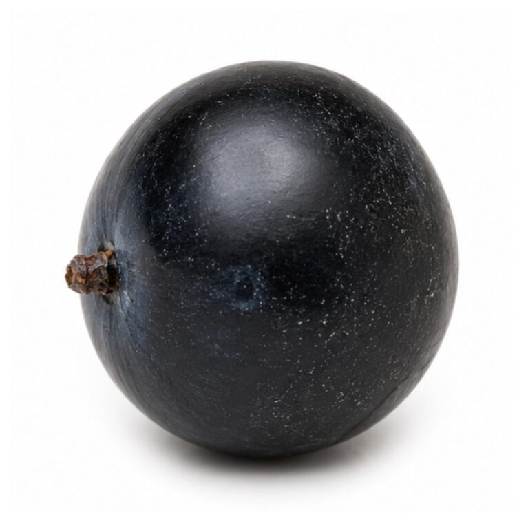 Black Plum