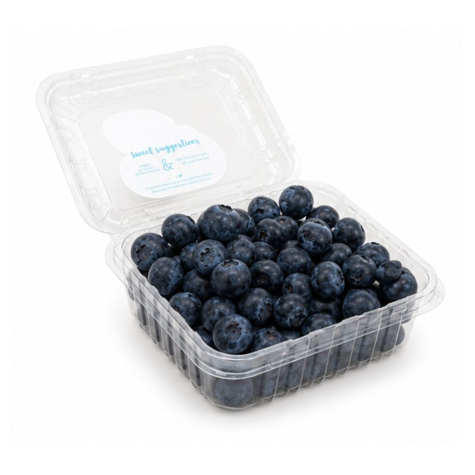Blueberry Box