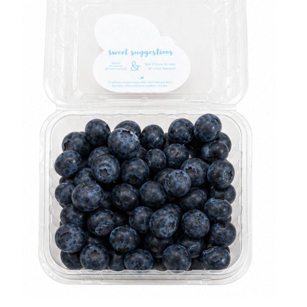 Blueberry Box