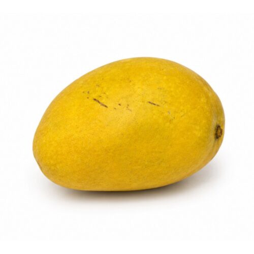 Mango Anwar Ratol Normal