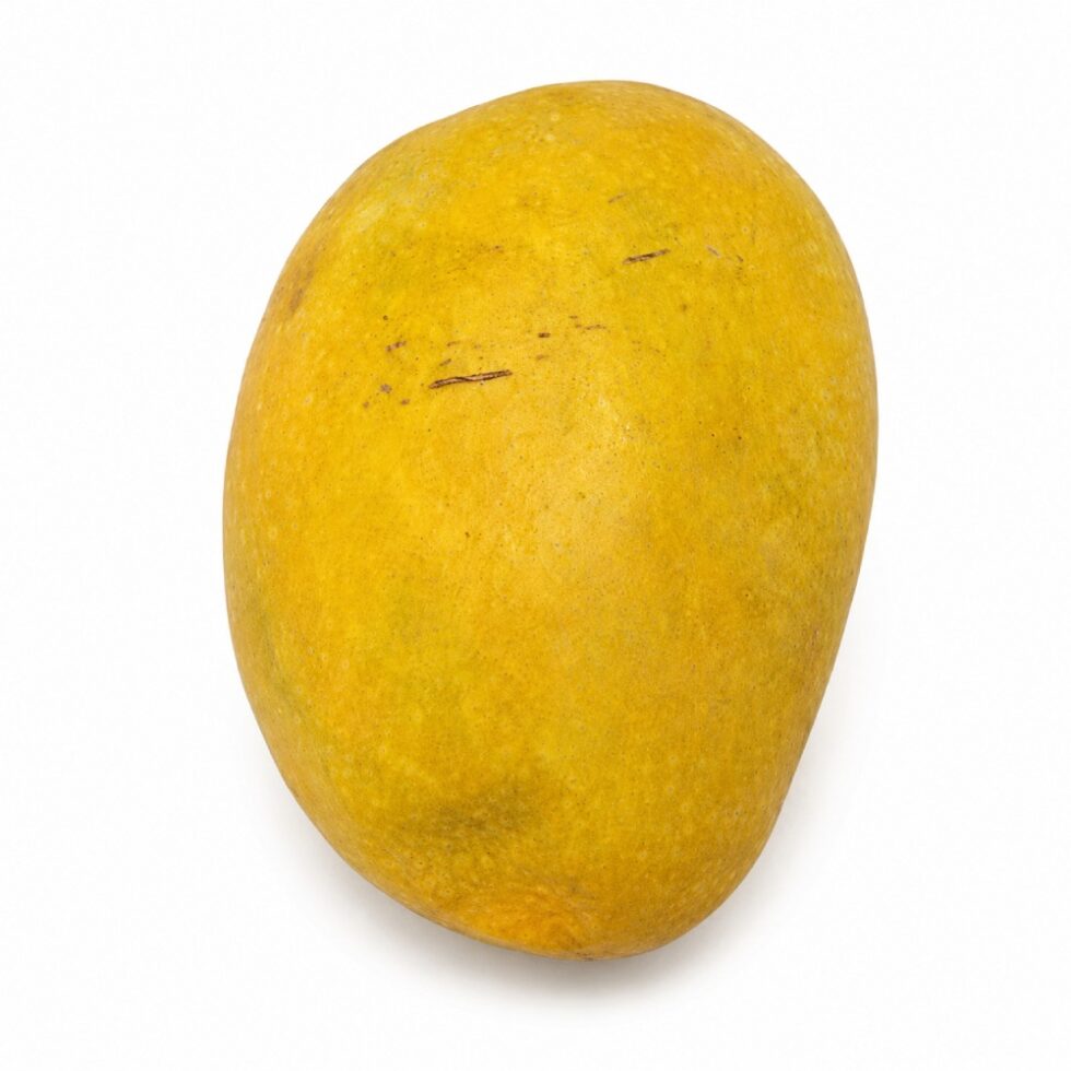 Mango Anwar Ratol Normal