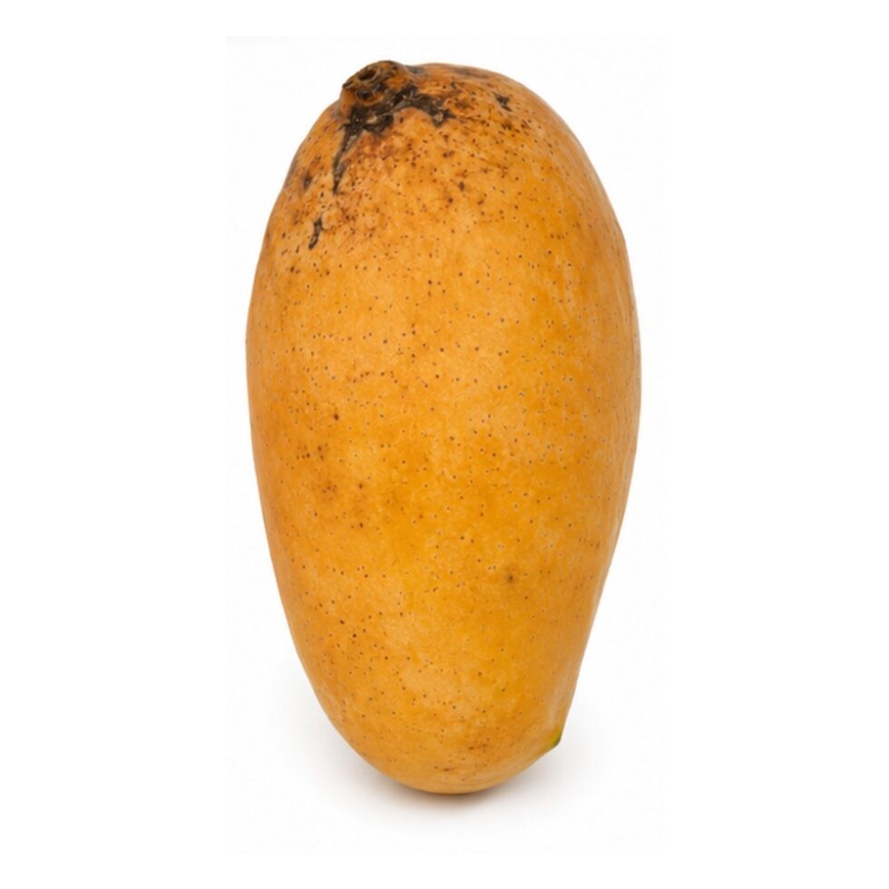 Mango Sindhri