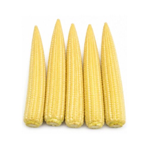 Baby Corn - Buy Online at Fresh & More Karachi