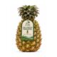 Big Pineapple SriKankan