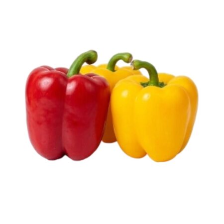 Color capsicum Imp Per Pcs