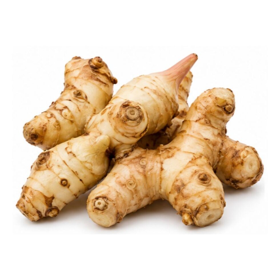Galangal