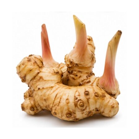 Galangal