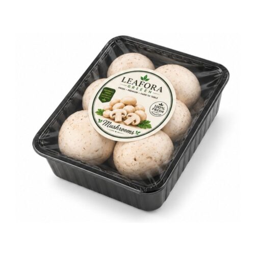 Fresh Mushroom