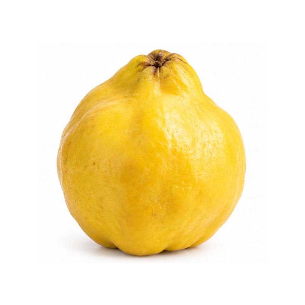 quince