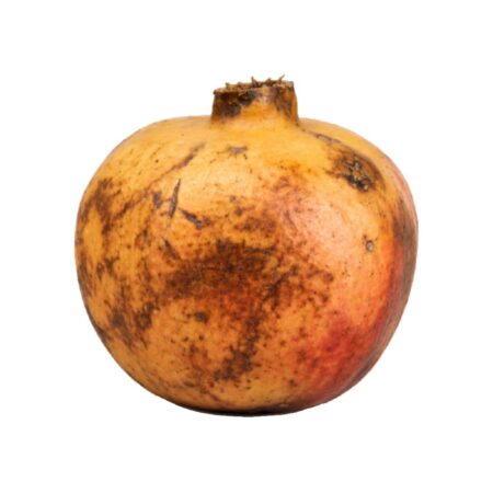 Pomegranate Bdana