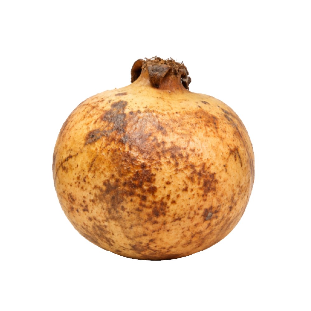 Pomegranate Jumbo – Seedless (انار)